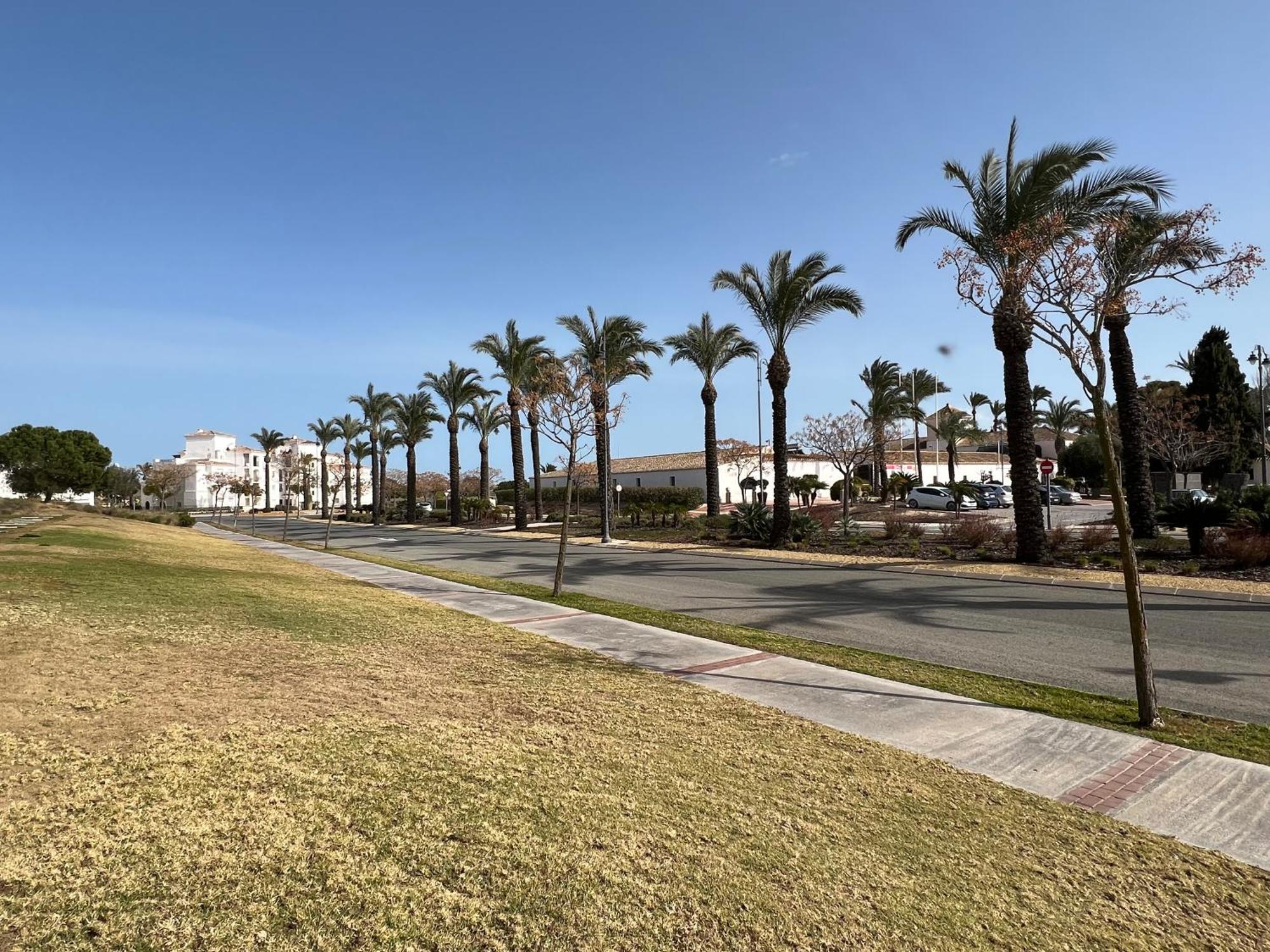 Apartment In Hacienda Riquelme Golf Resort Сусина Екстериор снимка